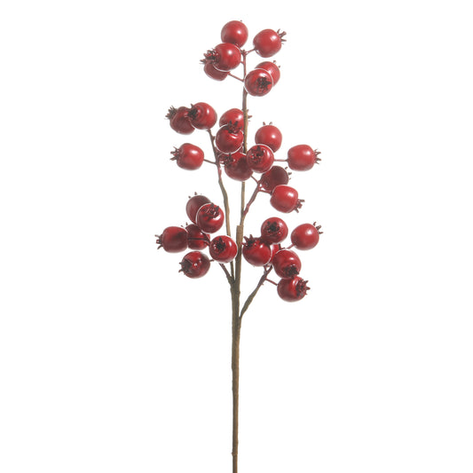 21 Inch Matte Red Berry Pod Spray